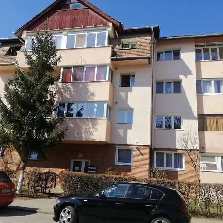 Studio Acasa Sibiu Exterior photo